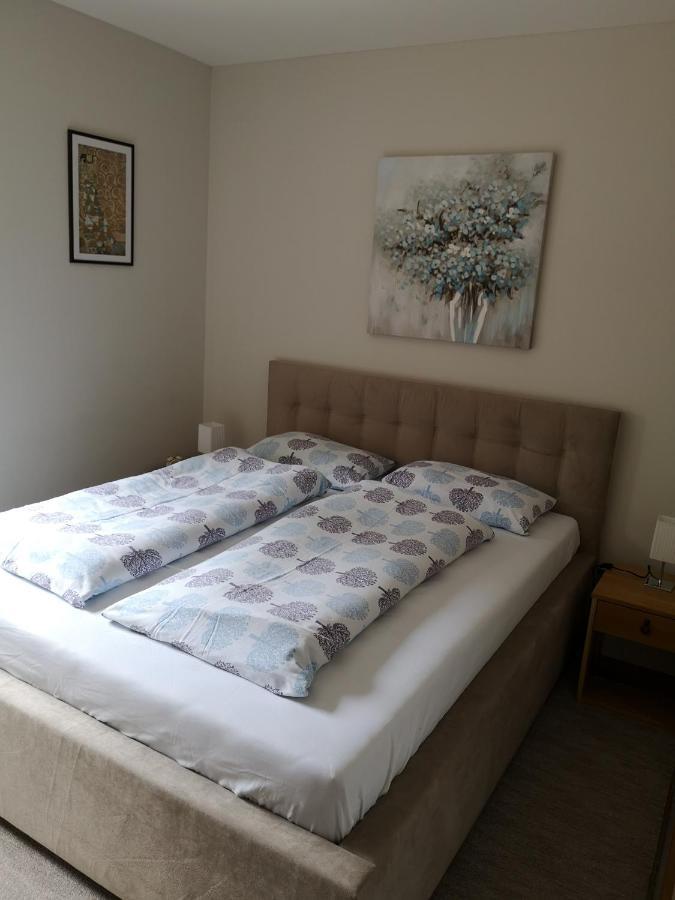 Apartment Gorski Javor ヤホリナ エクステリア 写真